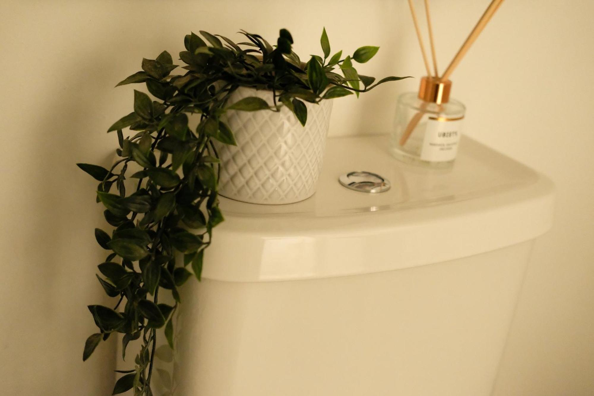 Spacious City Centre Apartment Bath Buitenkant foto
